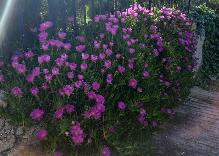 Vakantiehuis Immortelle House *