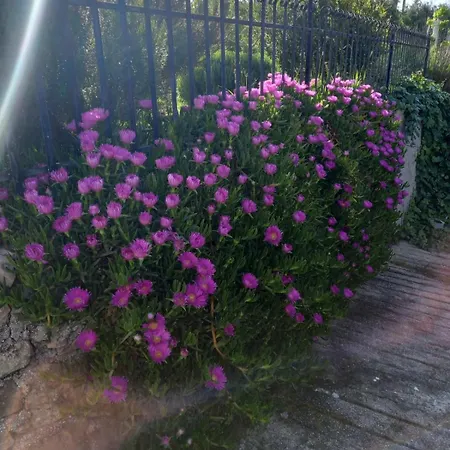 Holiday home Immortelle House *